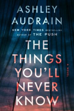 The Things You'll Never Know by Ashley Audrain
